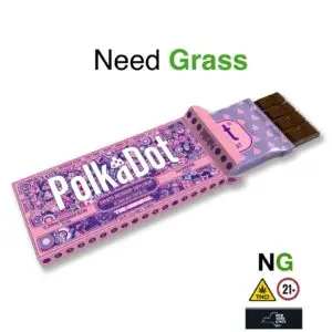 PolkaDot: Magic Mushroom Chocolate Bar